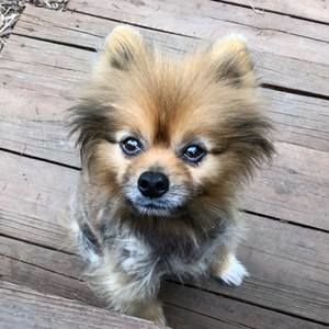 Meet your Posher, Kevin-stacey